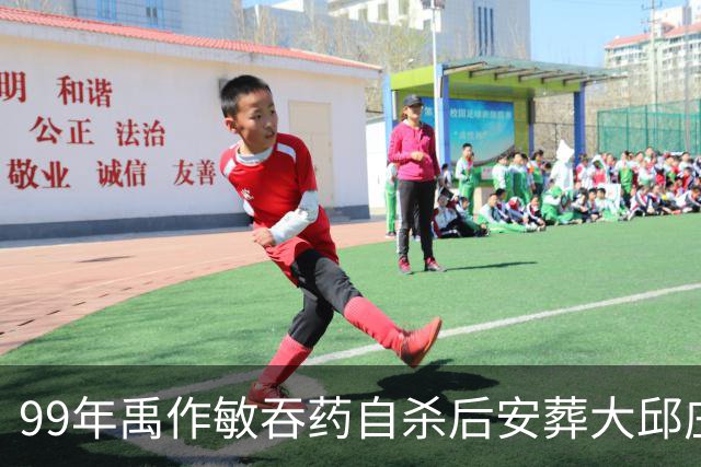 99年禹作敏吞药自杀后安葬大邱庄祖坟，坟前冷清无人祭拜！
